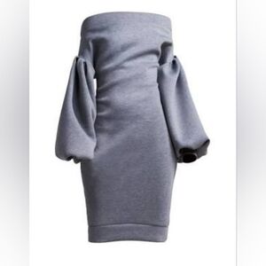 NWT Off Shoulder Bodycon Dress